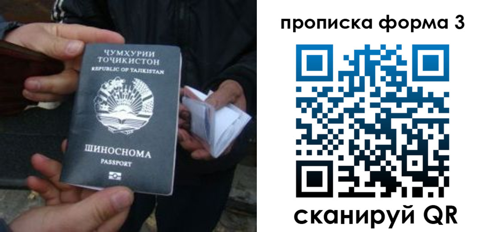 прописка 2025 в Новопавловске